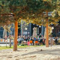 ‘Zo gek, iedereen die ik gesproken heb zou nochtans op Groen stemmen’: hoe we allemaal in onze eigen bubbel leven