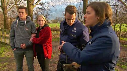 Aflevering 19