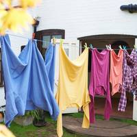 Vale kleding? Déze specerij in de bonte was voorkomt dat