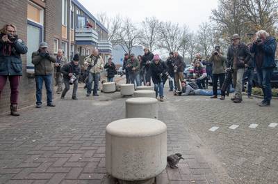 Wageningen in de ban van de notenkraker