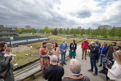 Bushokjesdaken vol sedum en zonnepanelen in Wageningen