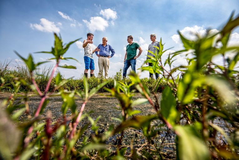 Veenweiden laten massaal hun CO2 los, en dus ligt daar een grote kans voor ...