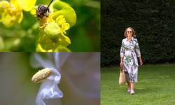 Dominique Geerts (60) geeft tips voor mooie natuurfoto’s: “Laat je verwonderen door de kleine zaken, ook dat levert prachtplaatjes op”