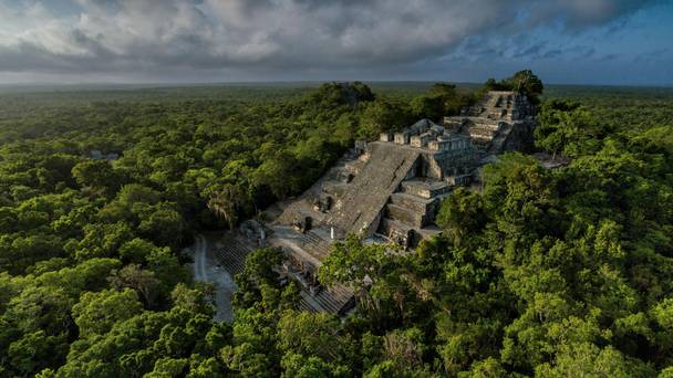 Lost World of the Maya