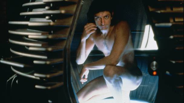 The Fly