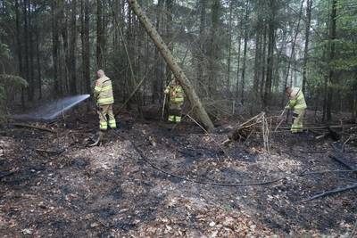Bosbrandje bij Ginkelse Heide in Ede