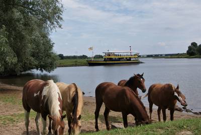 Fietsen met Hemelvaart? Varen is ook een optie