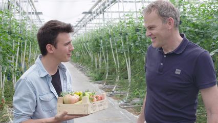 27. Ode aan de tomaat