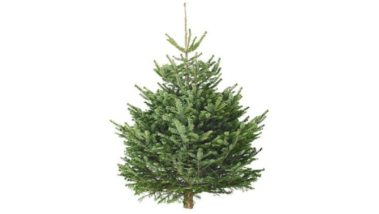 Vangst Van De Dag Kerstboom Van Ikea Style Nina Hln
