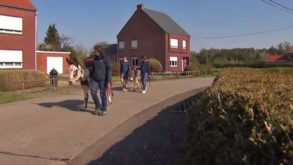 Aflevering 8