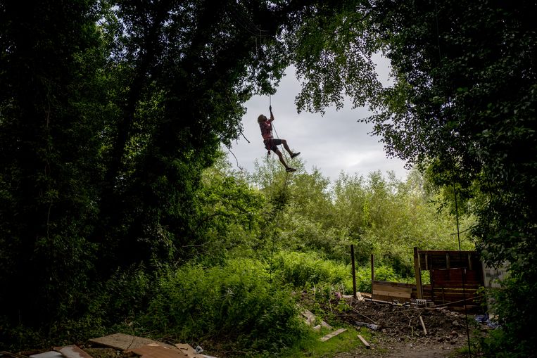 Wonen in een boomhut uit protest tegen een treinlijn: 'Dit gaat ook om onderdrukking door de staat' 