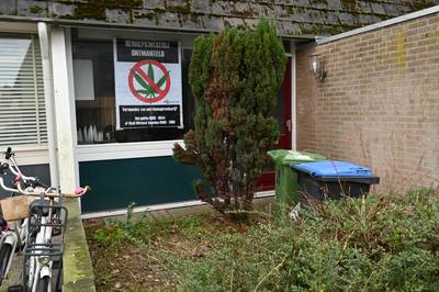 Hennepkwekerijen opgerold in Ewijk en Nijmegen