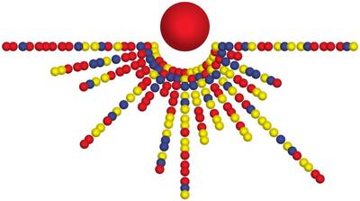 Kerstpuzzel AIVD is dit jaar nóg moeilijker
