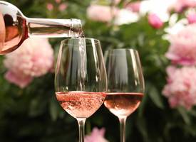 Van borrel tot barbecue: deze 3 roséwijnen zijn altijd goed (en voordelig!)