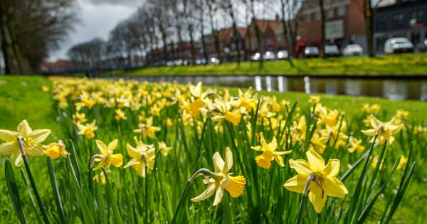 Opknapbeurt Moerdijkse vestingstadjes kan eindelijk beginnen