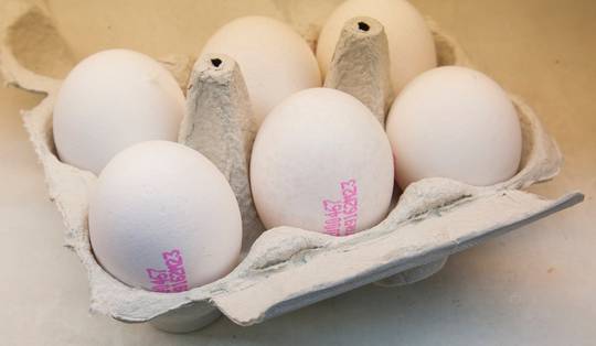 Salmonella in eieren maakt al minstens 300 Belgen ziek: deze stempelcodes worden teruggeroepen