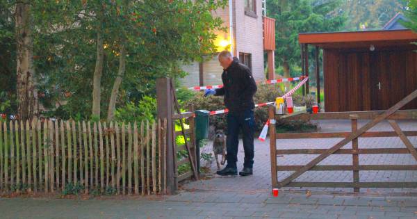 Diversiteit is onze kracht!????Er zit nog weinig schot in de strafzaak tegen Rachid K.
