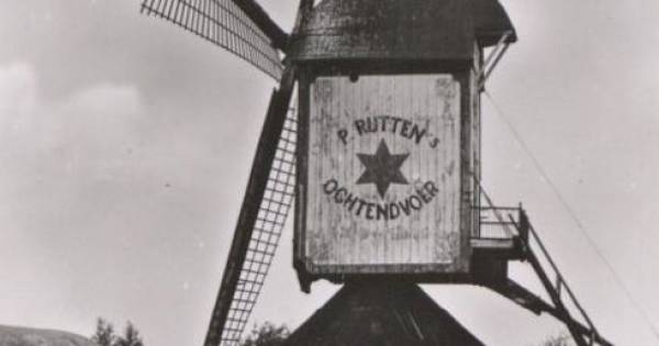 Molen De Korenbloem in Oploo krijgt weer haar oorspronkelijke kleuren en tekst