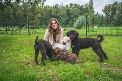 Laura (27) kan honden opleiden om corona te detecteren: “100 procent sluitend? Nee, maar dat zijn medische testen ook niet”