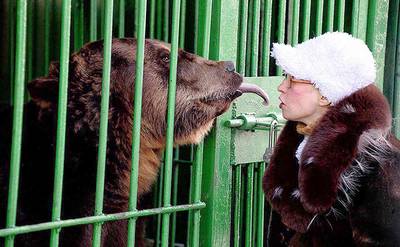 Russische ‘berenkusser’ moet mogelijk onderbeen missen na aanval in dierentuin
