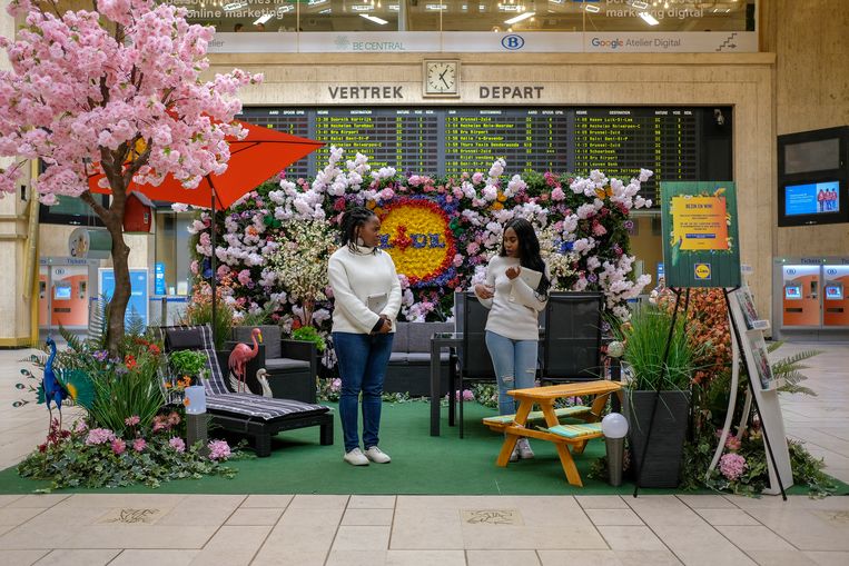 lidl tuin