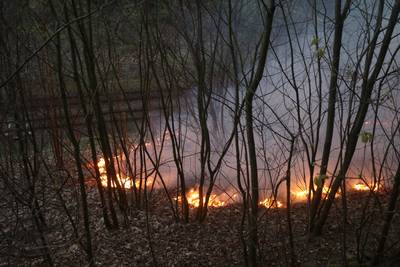 Treinverkeer weer op gang na branden langs spoorlijnen