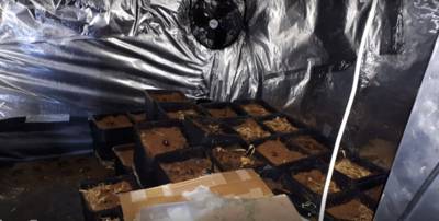 Twee Letse vrouwen opgepakt voor hennepkwekerij in 's-Heerenberg na melding over ruzie