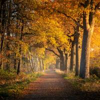 Hoe wordt het weer in september?