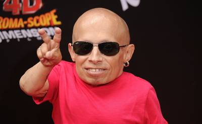 Acteur 'Mini-Me' Verne Troyer (49) overleden