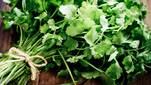 Poll. Het is ‘International I Hate Coriander Day’: hoe komt het dat het kruid voor sommigen naar zeep smaakt? 