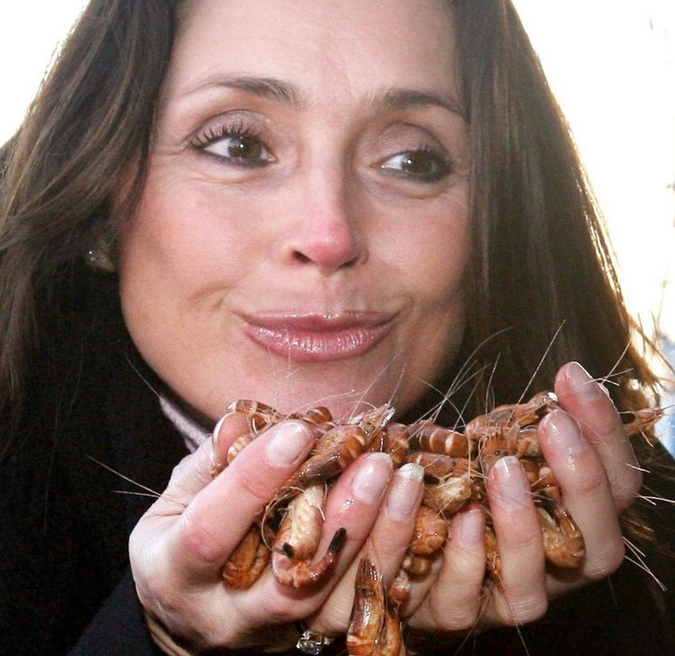 Wendy Van Wanten Geen Auto Van Laurent Gekregen De Morgen