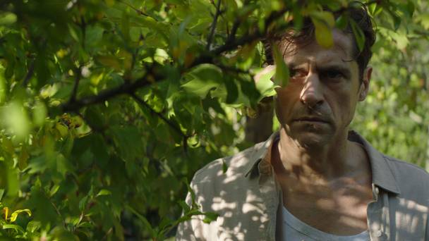 All the Pretty Little Horses