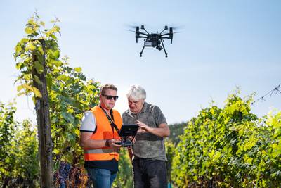 UT helpt met drone bij maken van duurzame wijn uit Hof van Twente