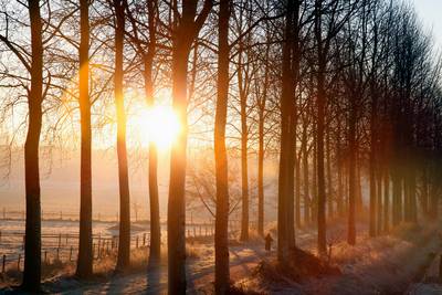 Winterkou blijft nog even uit: prachtige omstandigheden voor oud en nieuw