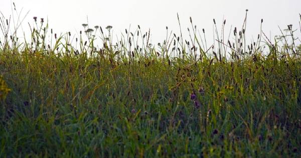 Excursie vanuit Bakel naar IVN Laarbeek