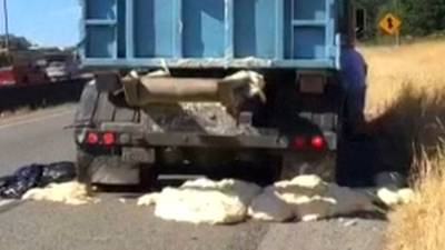 Deeg rijst vrachtwagen uit op snelweg in Amerika