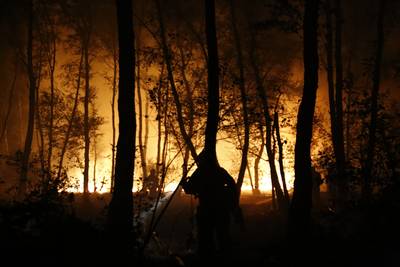 Groot stuk bos afgebrand in Boxmeer