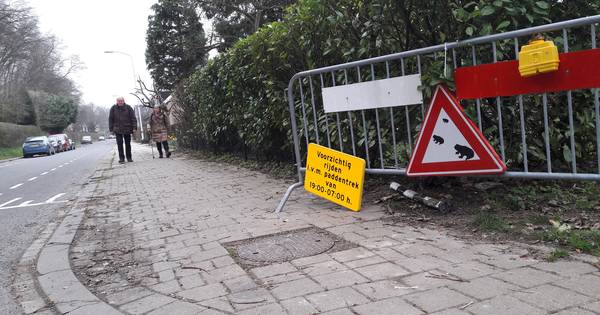 Borden ‘paddentrek’ gestolen in Rijksstraatweg Beek