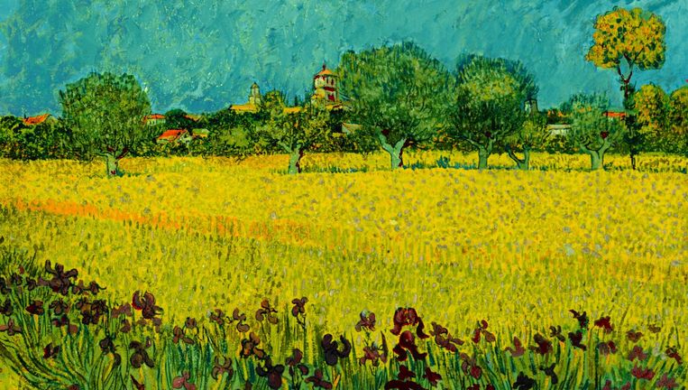 Veld Met Irissen van Van Gogh blijkt een stuk feller | Het Parool