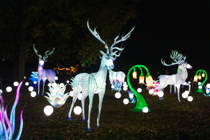 Magisch Lichtfestival In Ouwehands Dierenpark Utrecht Ad Nl