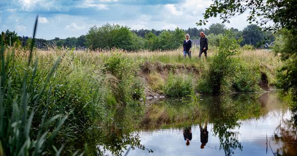 Projectontwikkelaar negeert buurtinitiatief ‘Natuurpoort Galder’