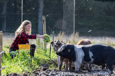Ellen voedt zelf haar vleesbiggen op en het moment van slacht nadert