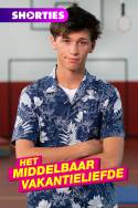 boxcover van Het Middelbaar Vakantieliefde