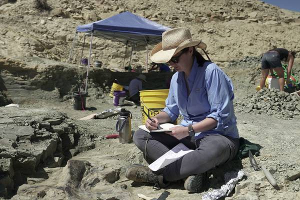 Secrets of the Jurassic Dinosaurs
