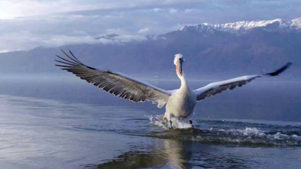 Hidden Wonders of Europe