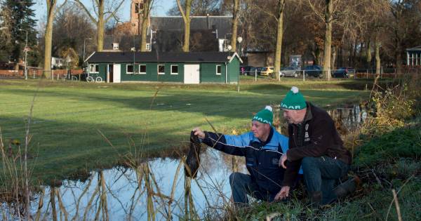 Bij ijsclub De Haar in Enspijk draaien de pompen al warm