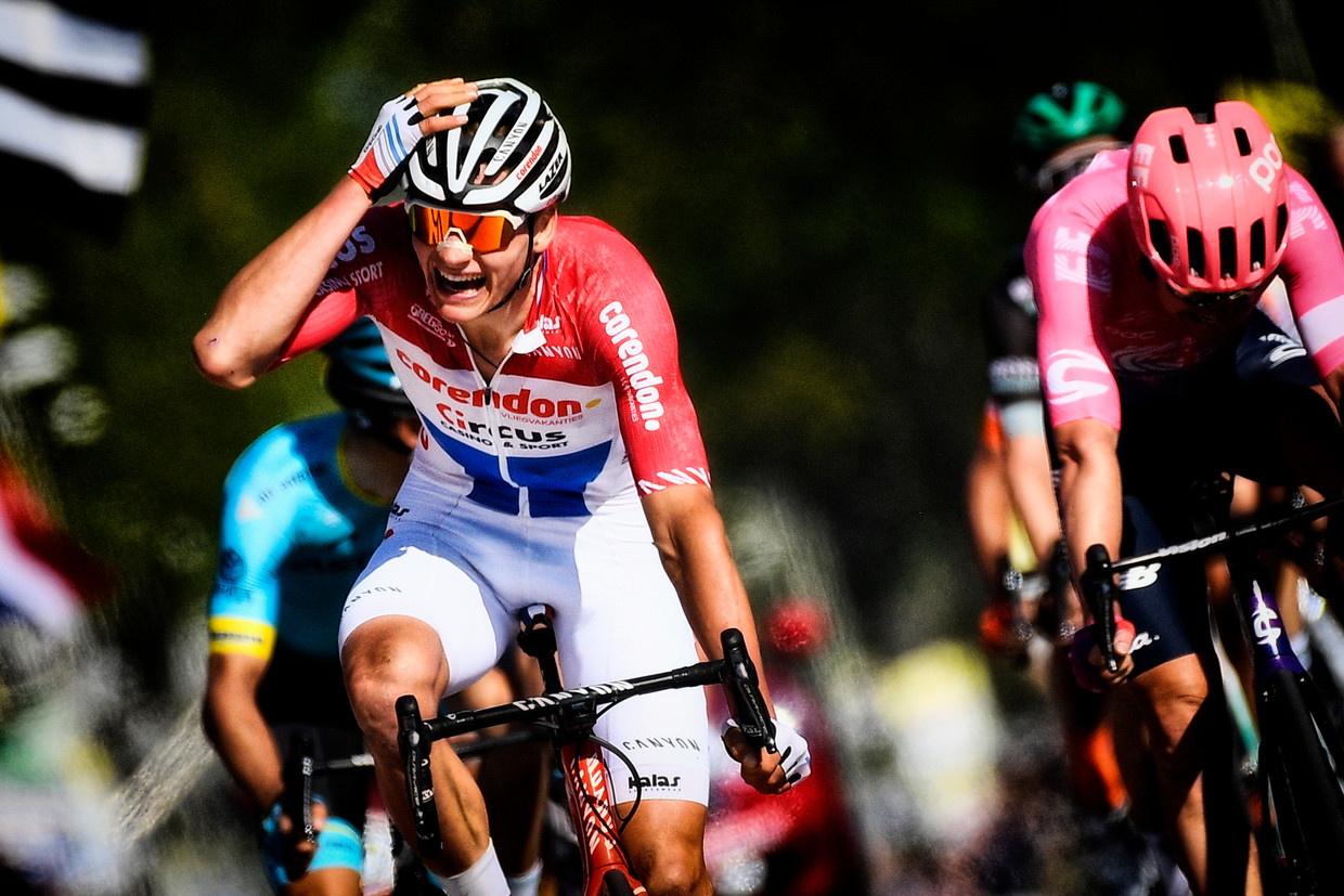 Mathieu van der Poel laat zien: kruisbestuiving helpt ...