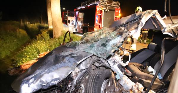 Bestuurder zwaargewond bij frontale botsing tegen boom in Tricht.