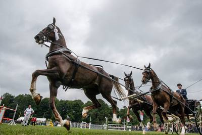 Bennekom trapt hippisch seizoen af