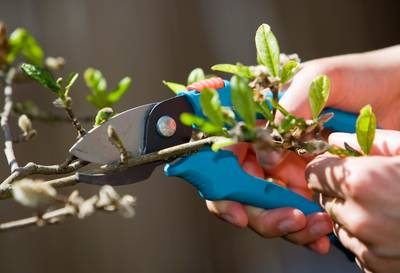 Warm lenteweekend voor de deur: ‘lekker weer om buiten bezig te zijn’